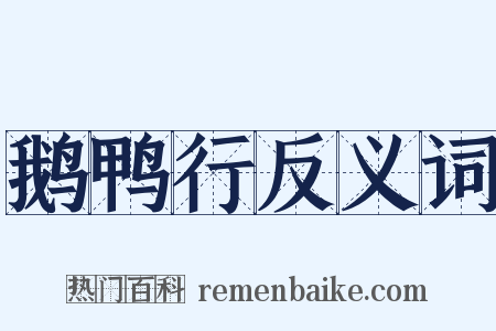 鹅鸭行反义词是什么意思的图片